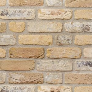 Plyta Wienerberger Rustica Oud Damme