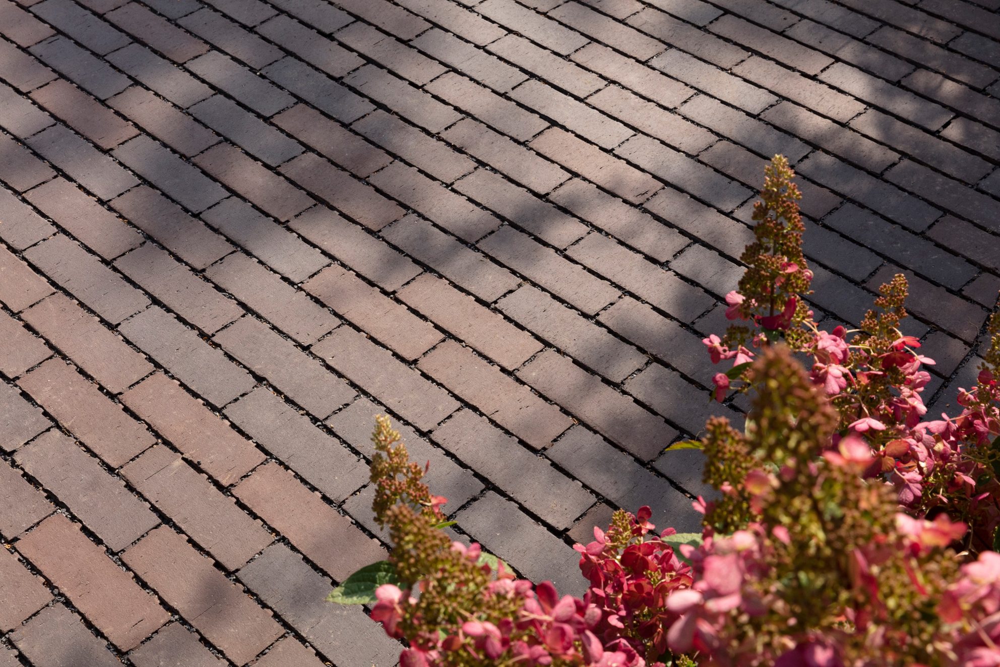 Klinkerio Trinkelės Wienerberger Aquata Doris, 195x65x80 mm - Image 7