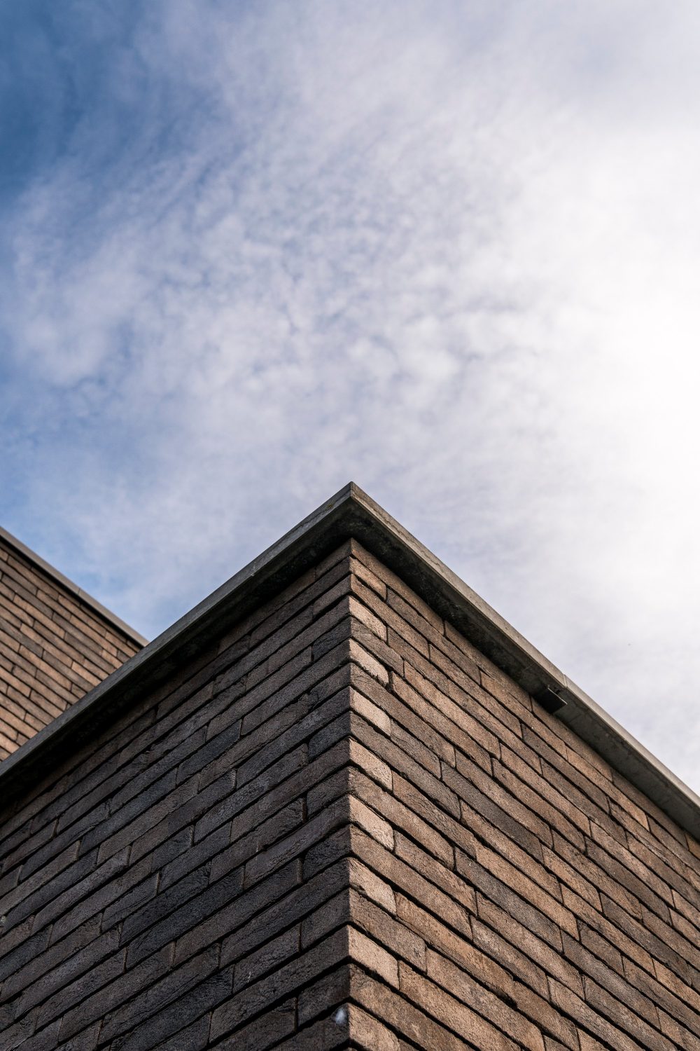 Plyta Wienerberger PAGUS ILUZO Bruin Zwart - Image 3