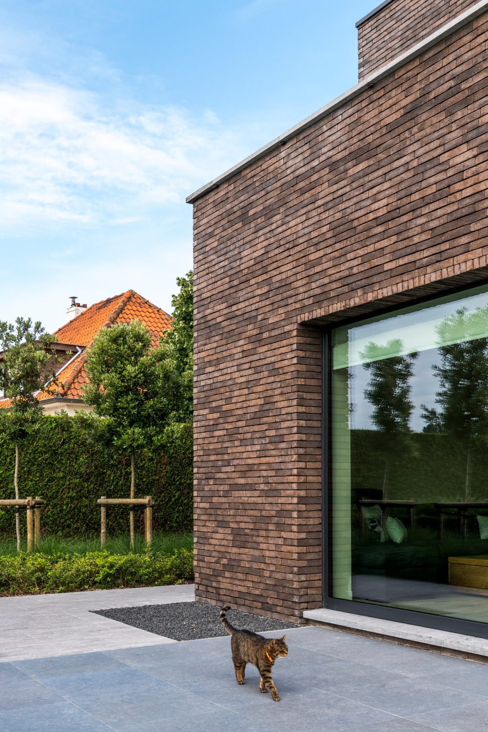 Plyta Wienerberger PAGUS ILUZO Bruin Zwart - Image 4