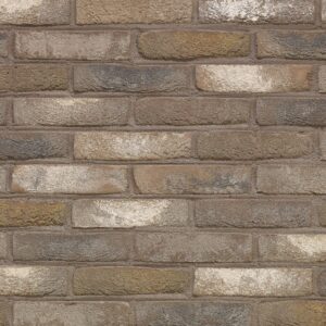 Plyta Wienerberger ARCES Moon Grijs