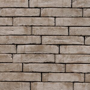 Plyta Wienerberger Imperium PAGUS Grijs