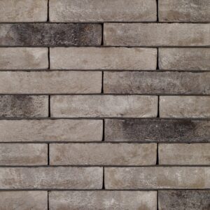 Plyta Wienerberger PAGUS ILUZO Grijs Zwart