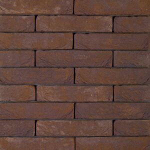 Plyta Wienerberger PAGUS ILUZO Paars