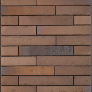 Plyta Wienerberger LINNAEUS Quercus