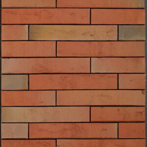 Plyta Wienerberger LINNAEUS Robinia