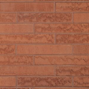 Plyta Wienerberger MARONO Rood