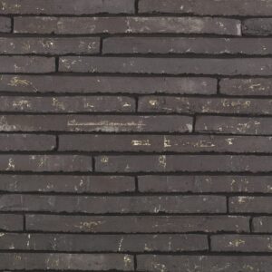 Plyta Wienerberger Wasserstrich Special Zwart