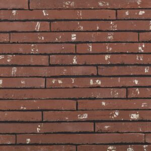 Plyta Wienerberger Wasserstrich Special Rood