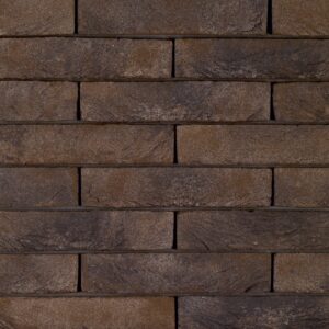 Plyta Wienerberger PAGUS ILUZO Bruin Zwart