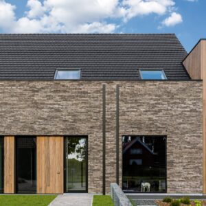 Plyta Wienerberger Pagus Grijs Zwart WDF