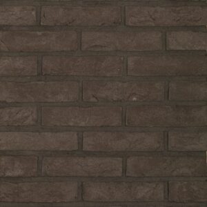 Plyta Wienerberger Forum Bruna