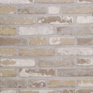 Plyta Wienerberger Retro Oud Laethem