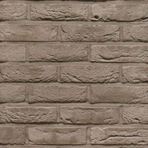 Plyta Wienerberger Pagus Grijs WDF